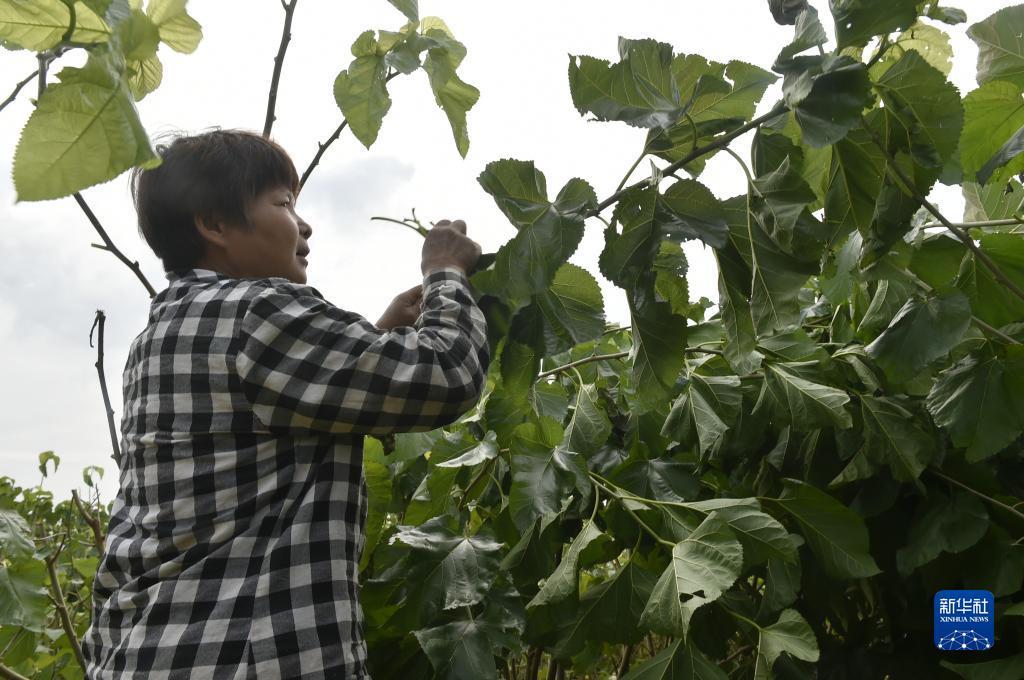 破解版游戏平台app排行榜